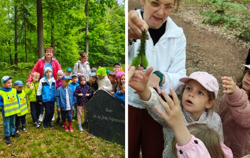 Słyszę, widzę, poznaję - stymulacja wielozmysłowa z wykorzystaniem naturoterapii” | Relacja z zadania